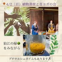 画像1269