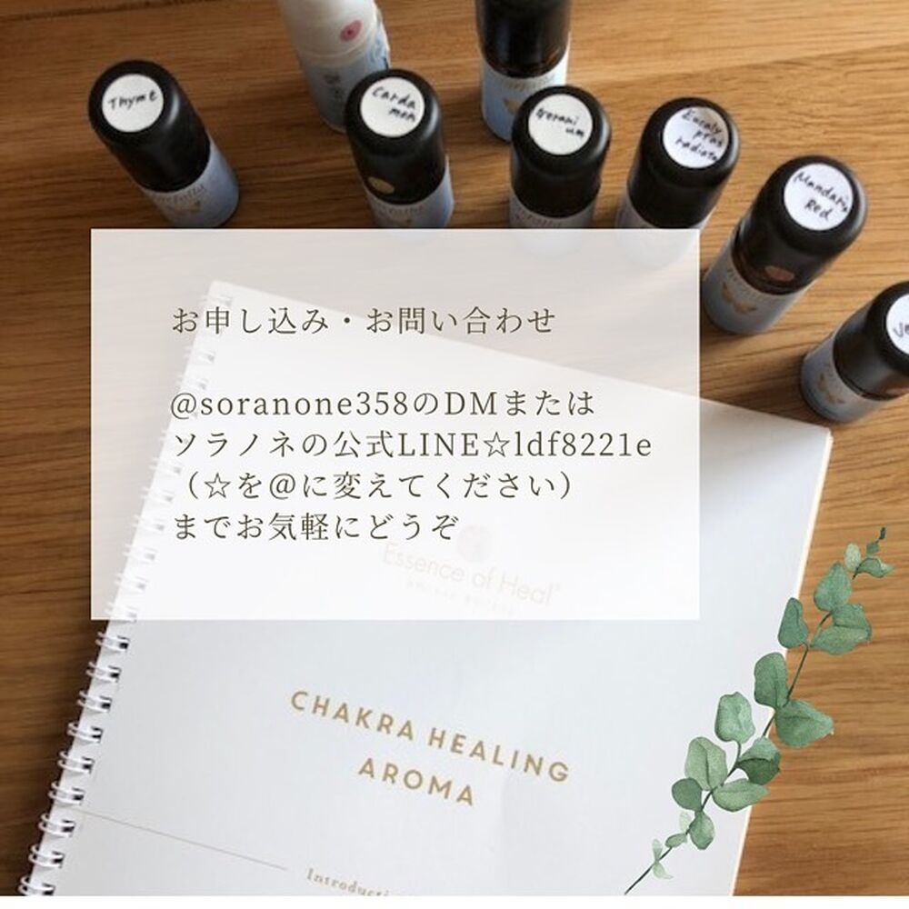 画像1274