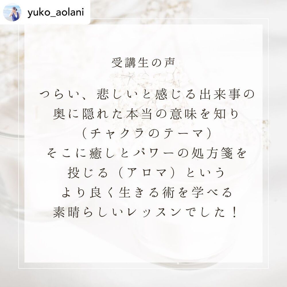 画像1277