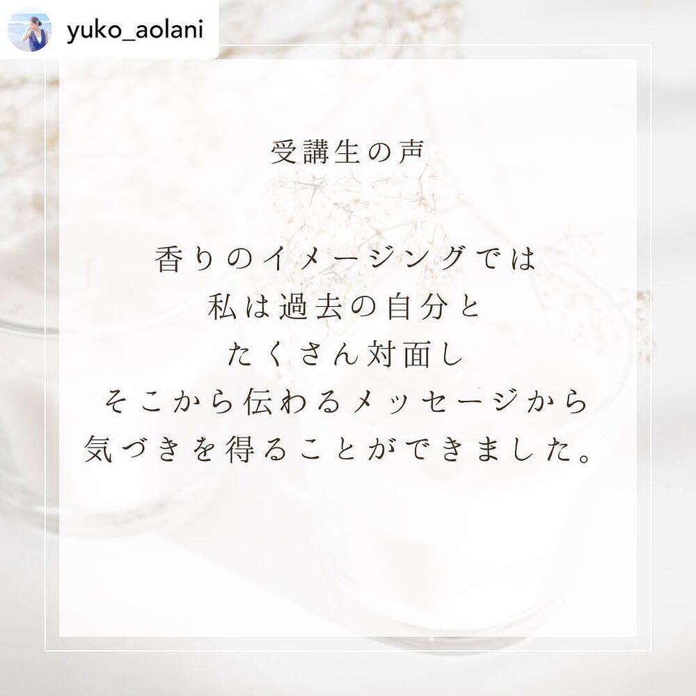 画像1278