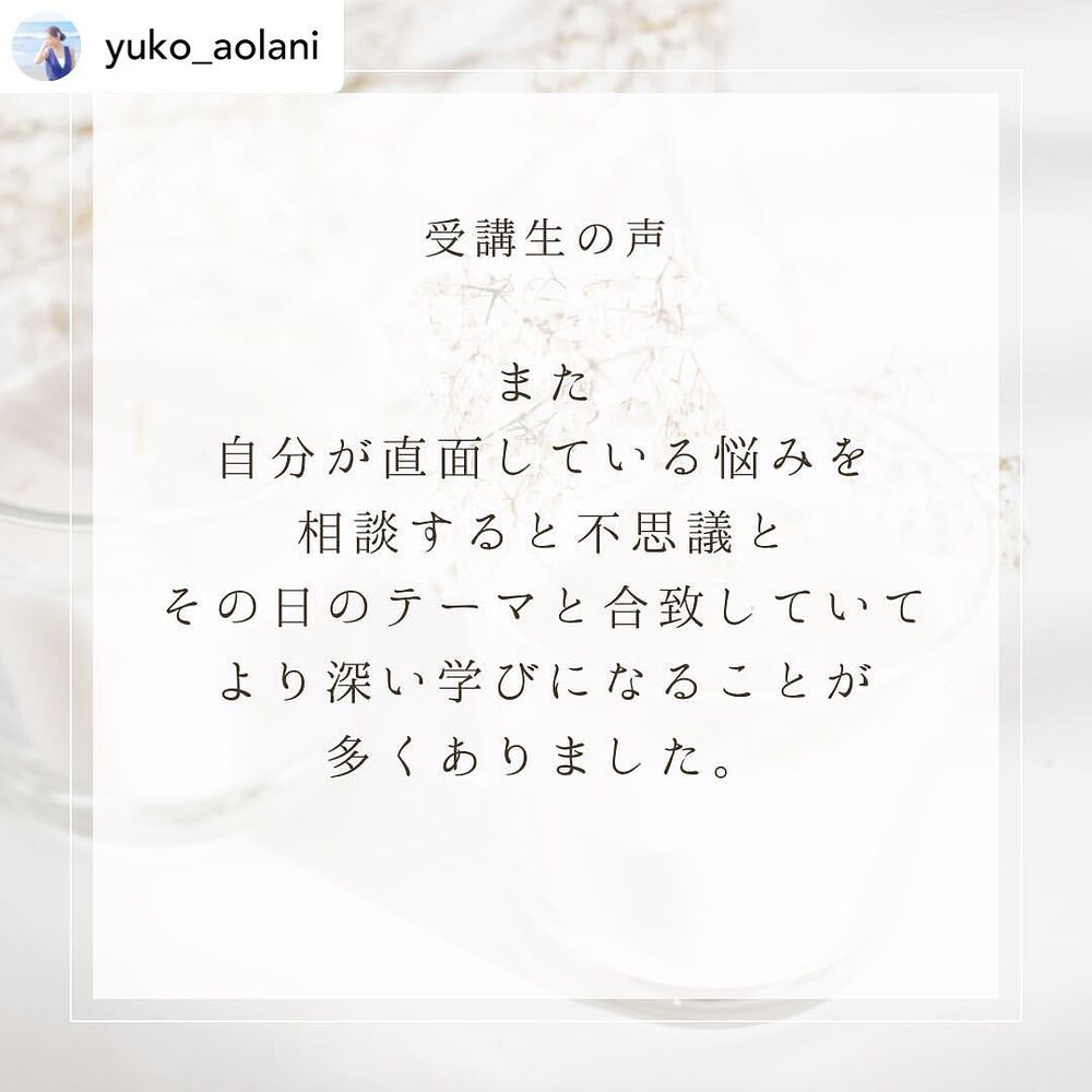 画像1279
