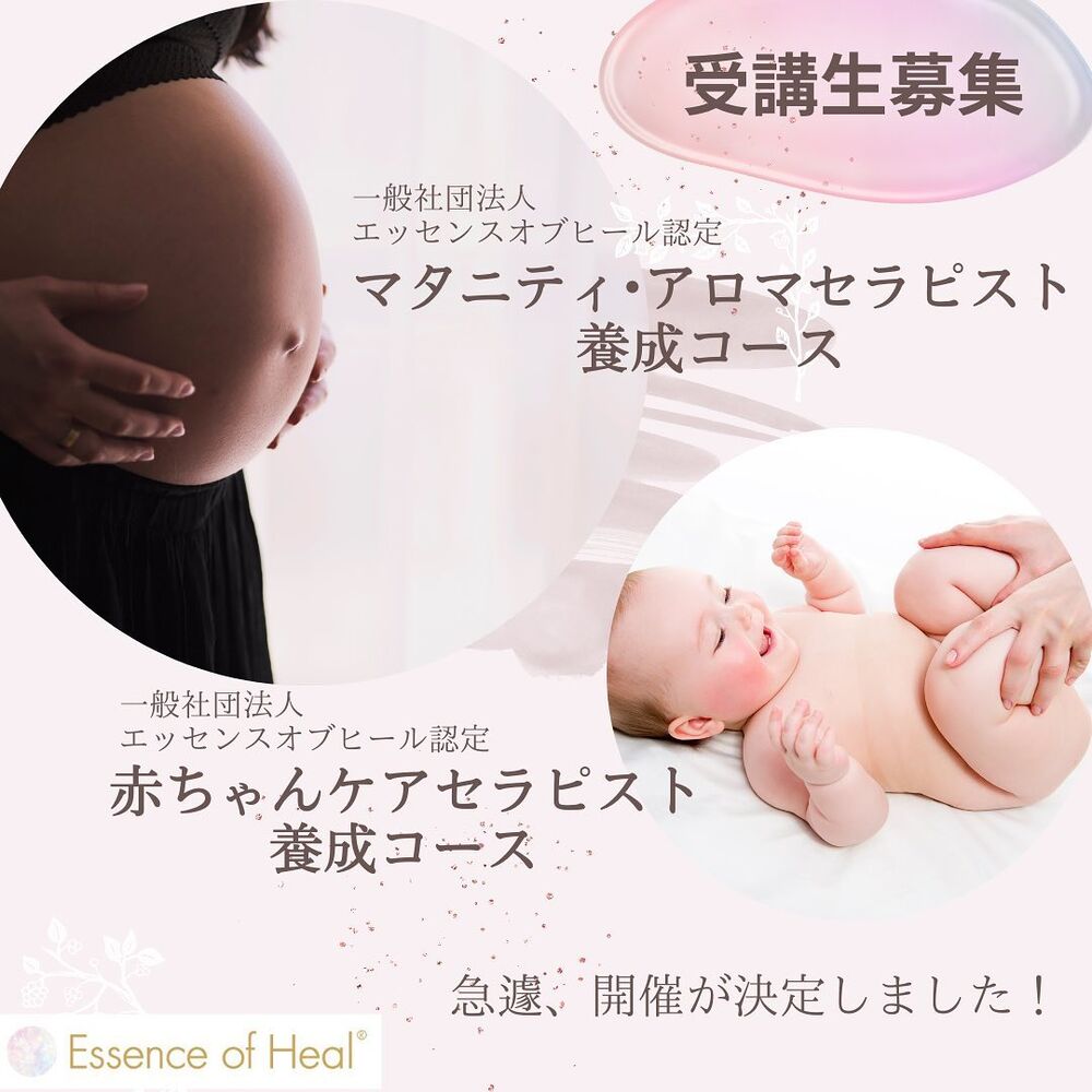 画像1294