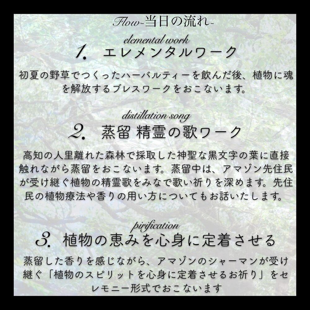 画像1321