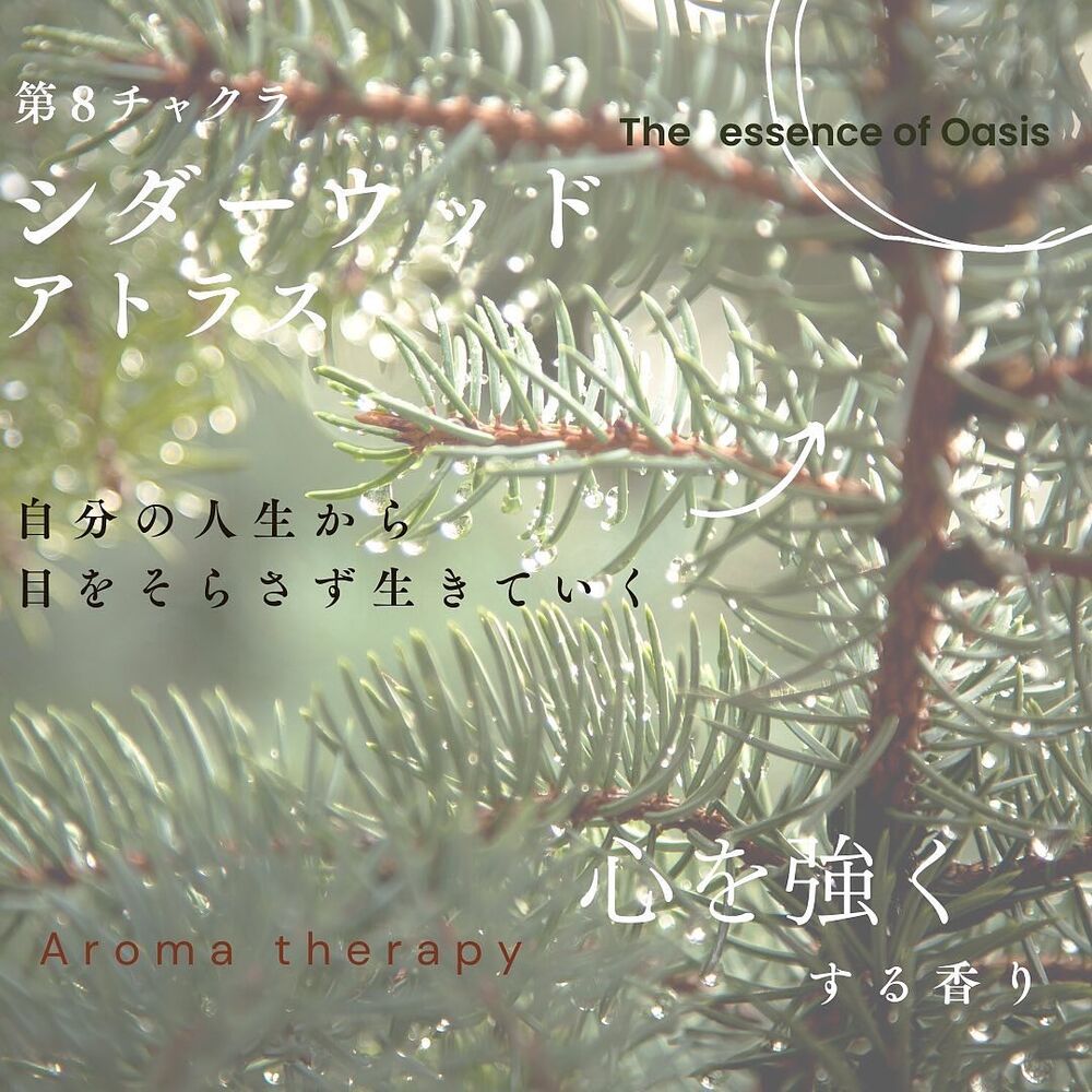 画像1340