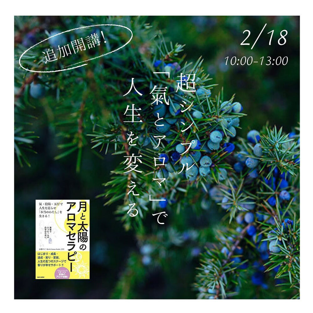 画像1523