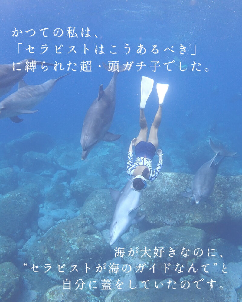 画像1795