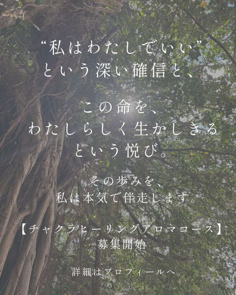 画像1799