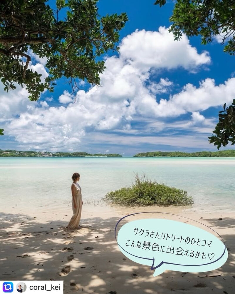 画像1805
