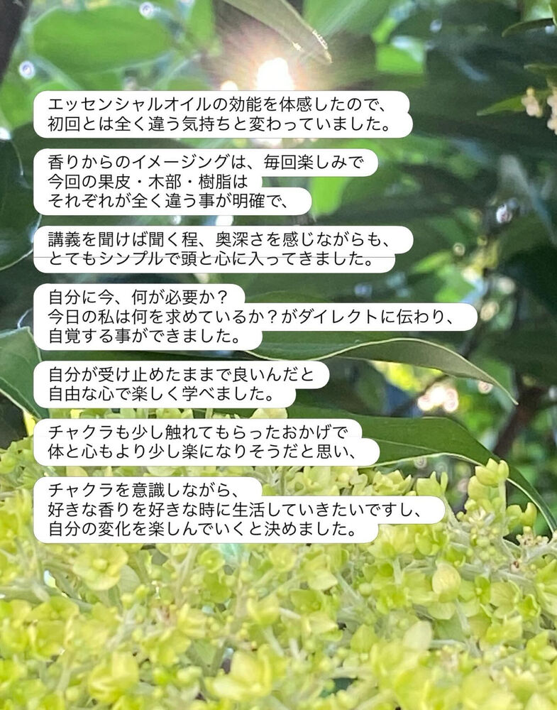 画像1915