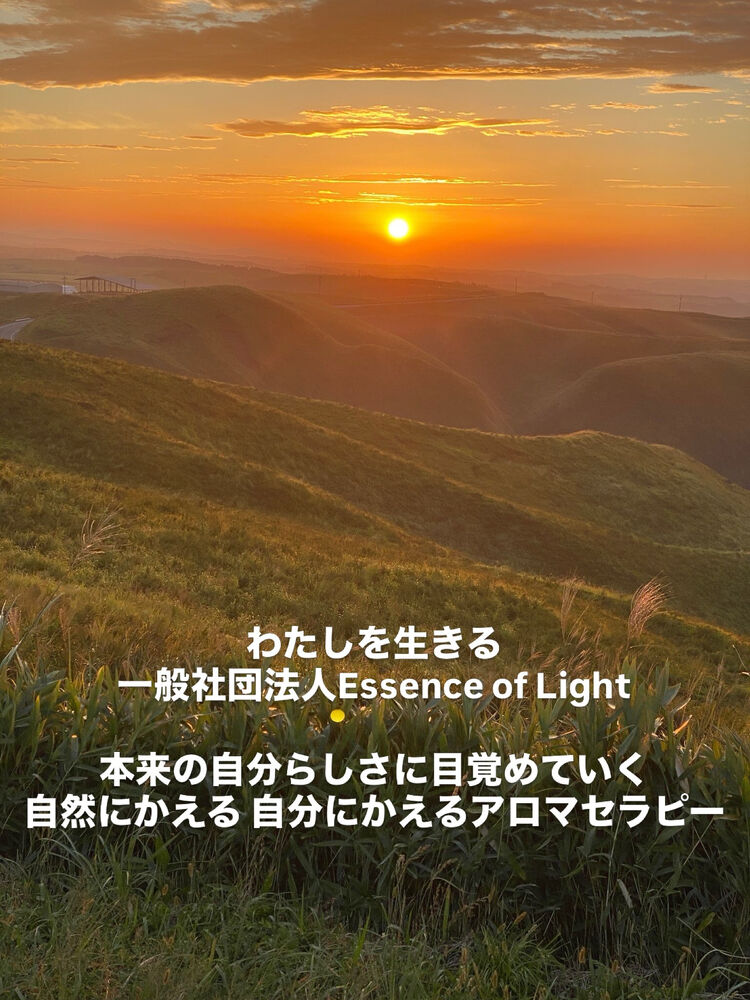 画像2010