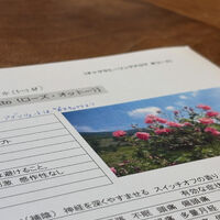 画像2025
